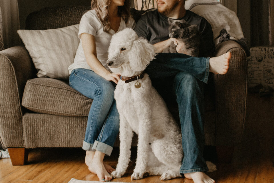 A couple sitting on a beige couch with a white dog and tabby cat, both petting their pets while posing for a relaxed home portrait